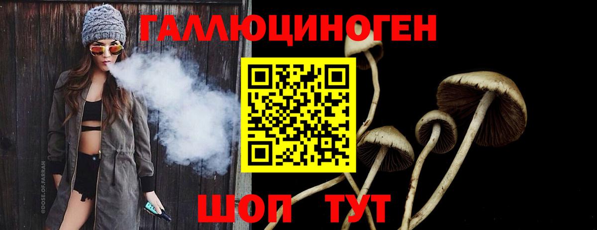Псилоцибиновые грибы GOLDEN TEACHER  купить наркотики сайты  Серпухов  Вход с VPN 